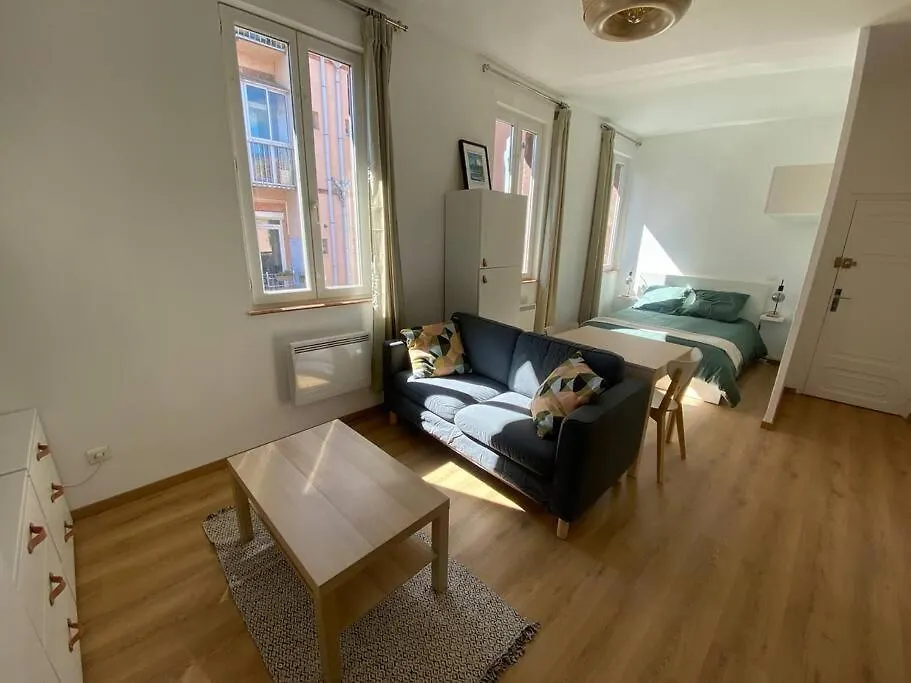Le Petit Minimes Au Bord Du Canal Du Midi Apartment Toulouse France