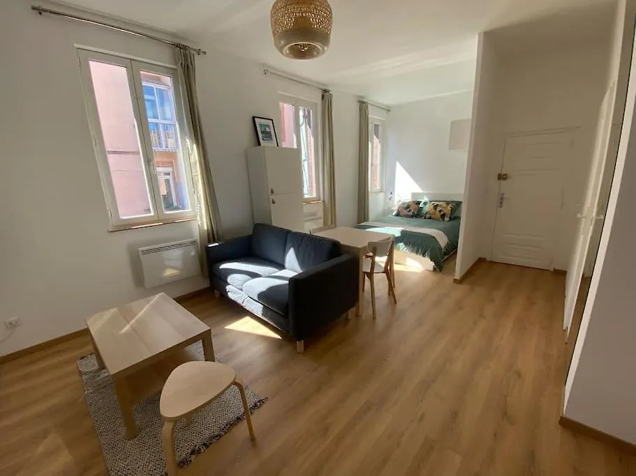 Le Petit Minimes Au Bord Du Canal Du Midi Apartment Toulouse